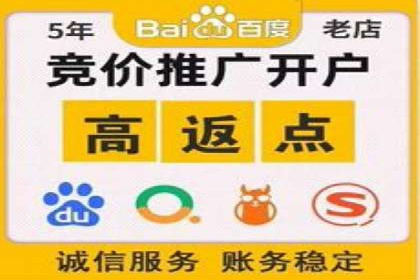 网站SEM托管服务成功案例分享